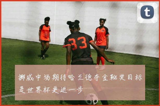 挪威中场期待哈兰德夺金靴奖目标是世界杯更进一步